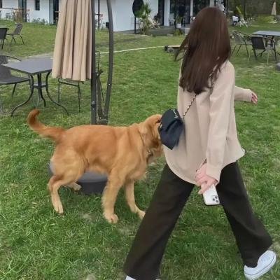 逆时杀机